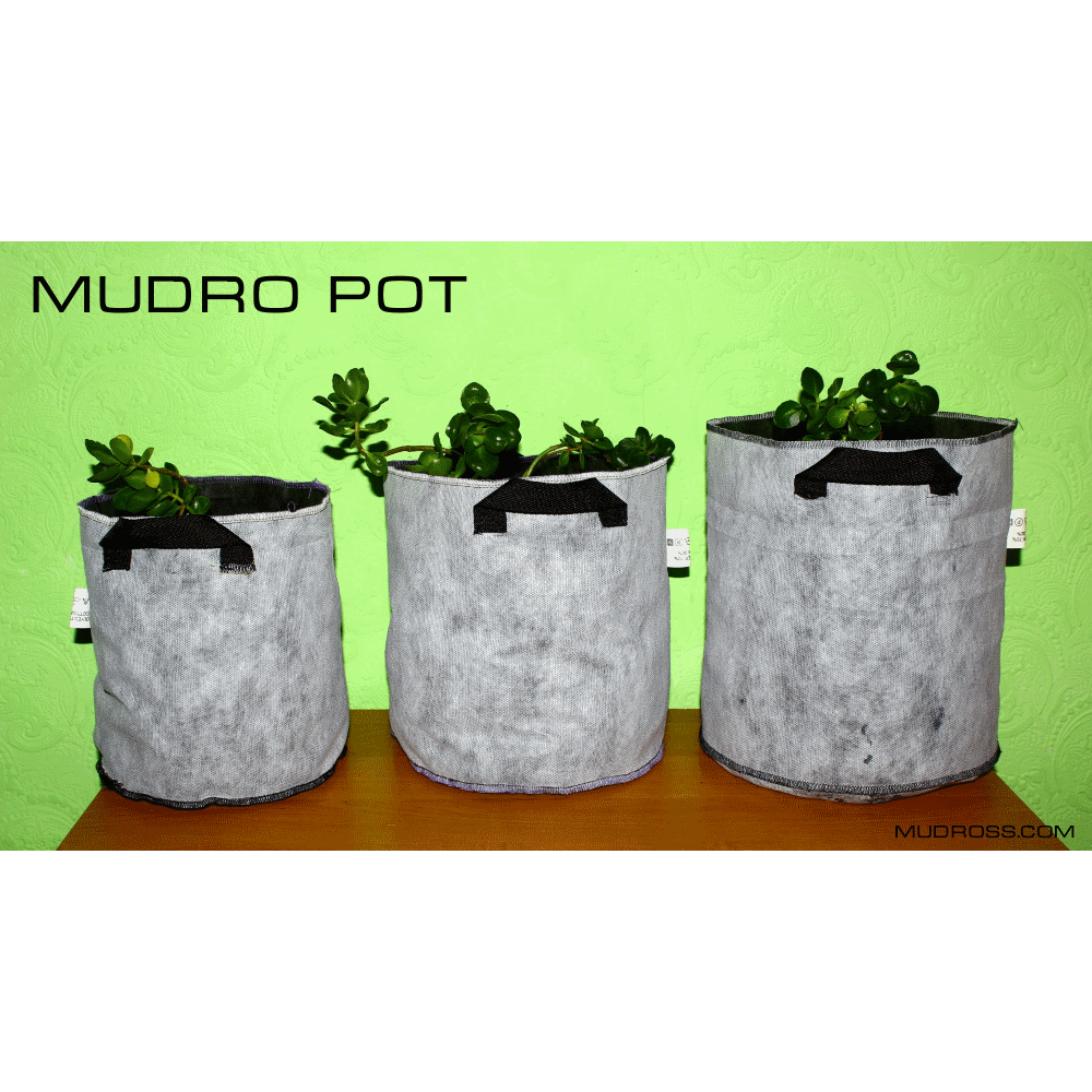 Mudro Pot 5