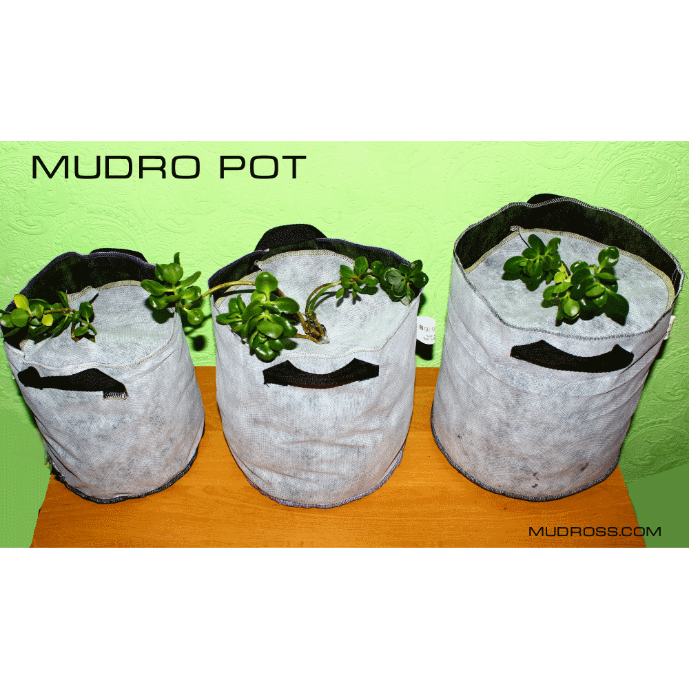 Mudro Pot 7