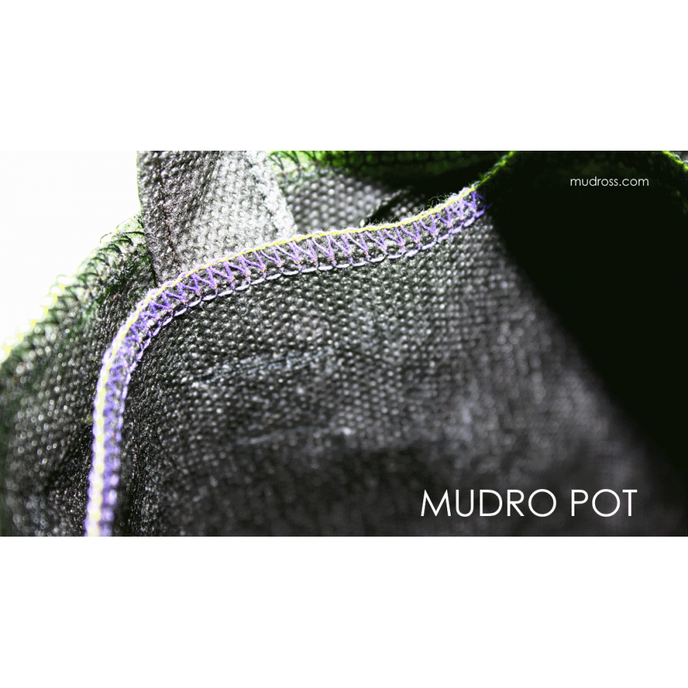 Mudro Pot 7