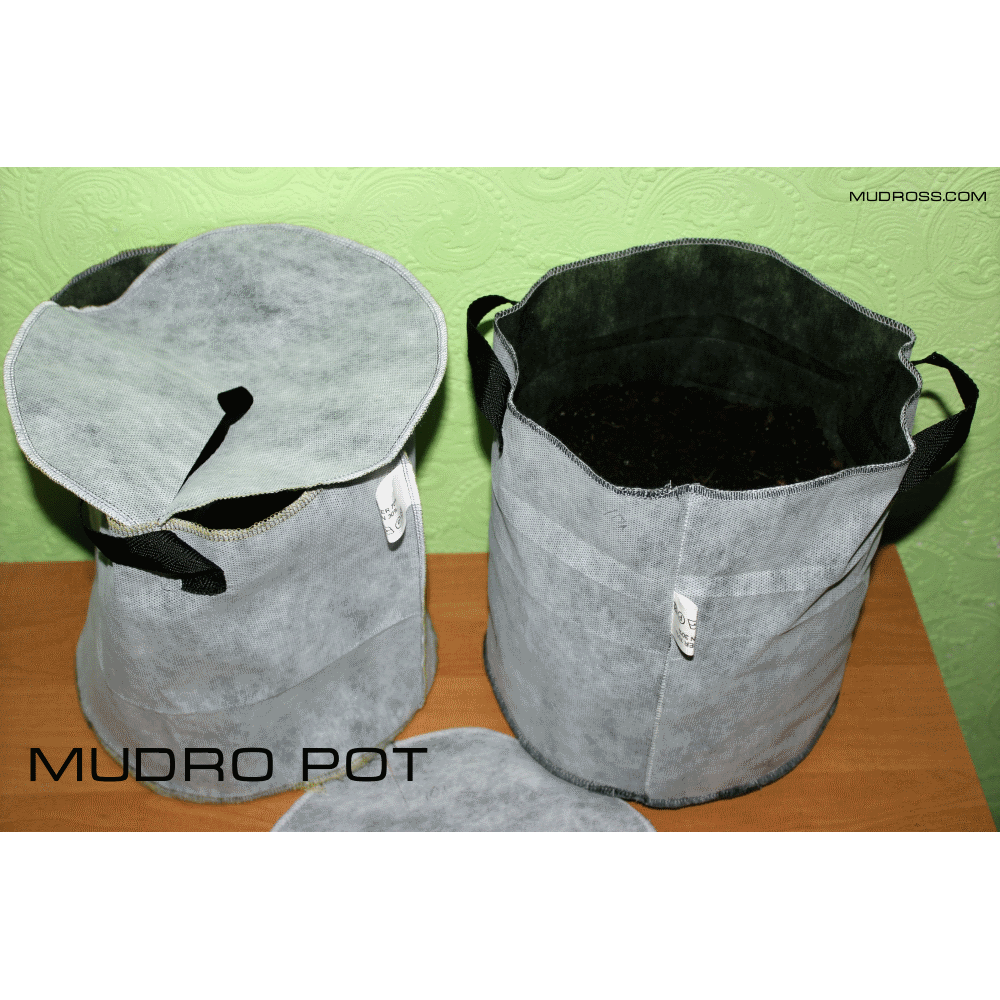 Mudro Pot 7