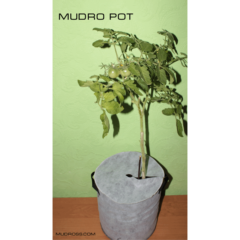 Mudro Pot maxi